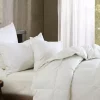 Wholesale β€οΈ HiEnd Accents Down Alternative Duvet Cover Insert π 1 Wholesale β€οΈ HiEnd Accents Down Alternative Duvet Cover Insert π -Cheap HiEnd Accents Store Belk 105